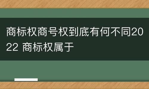 商标权商号权到底有何不同2022 商标权属于