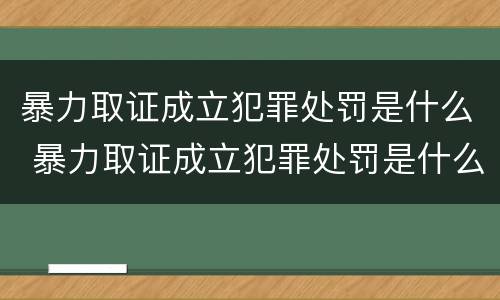 暴力取证成立犯罪处罚是什么 暴力取证成立犯罪处罚是什么案件