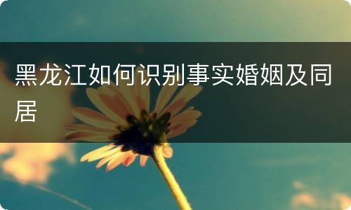 黑龙江如何识别事实婚姻及同居