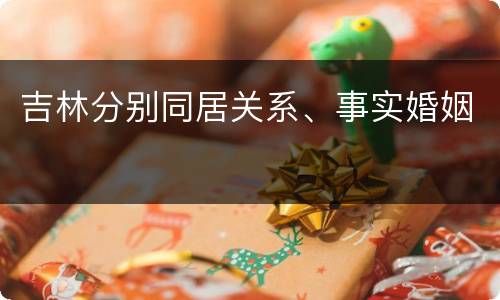 吉林分别同居关系、事实婚姻