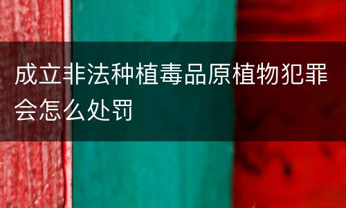 成立非法种植毒品原植物犯罪会怎么处罚