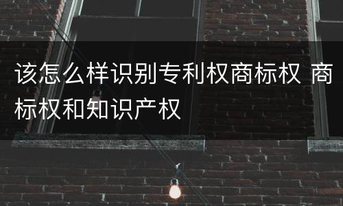 该怎么样识别专利权商标权 商标权和知识产权