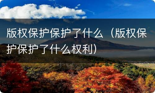 版权保护保护了什么（版权保护保护了什么权利）