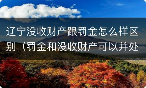辽宁没收财产跟罚金怎么样区别（罚金和没收财产可以并处吗）
