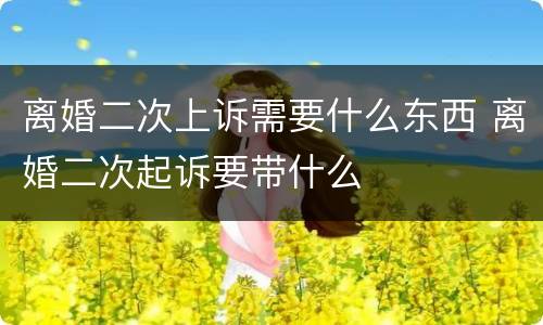离婚二次上诉需要什么东西 离婚二次起诉要带什么