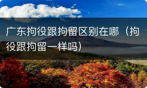 广东拘役跟拘留区别在哪（拘役跟拘留一样吗）