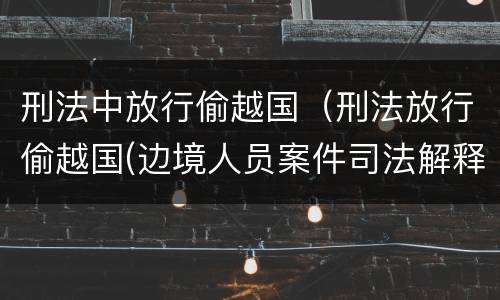 刑法中放行偷越国（刑法放行偷越国(边境人员案件司法解释会如何规定）