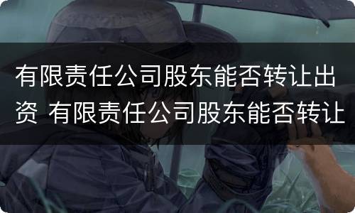 有限责任公司股东能否转让出资 有限责任公司股东能否转让出资公司股权
