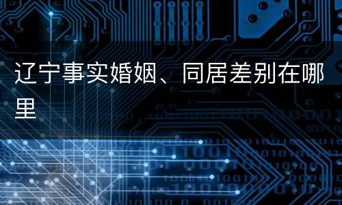 辽宁事实婚姻、同居差别在哪里