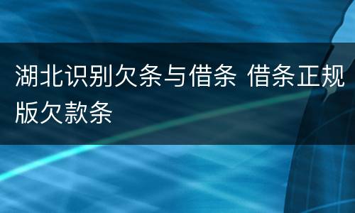湖北识别欠条与借条 借条正规版欠款条
