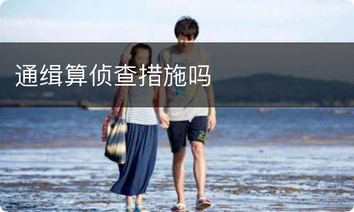 通缉算侦查措施吗