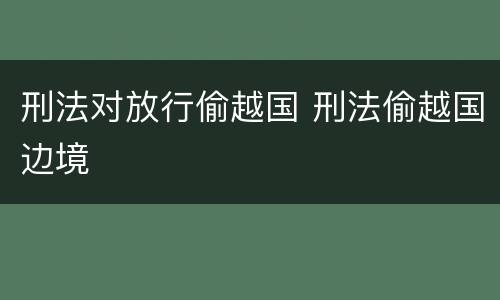 刑法对放行偷越国 刑法偷越国边境