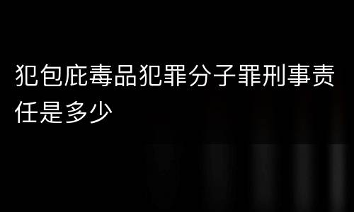 犯包庇毒品犯罪分子罪刑事责任是多少