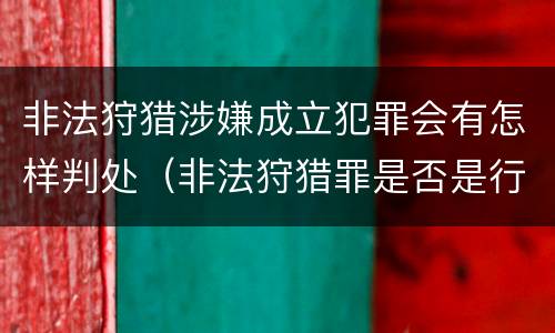 非法狩猎涉嫌成立犯罪会有怎样判处（非法狩猎罪是否是行为犯）