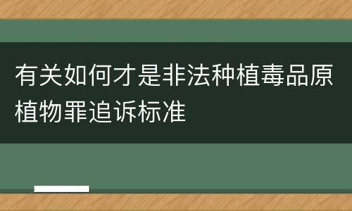 有关如何才是非法种植毒品原植物罪追诉标准