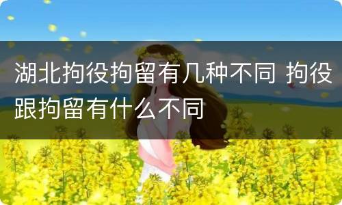 湖北拘役拘留有几种不同 拘役跟拘留有什么不同