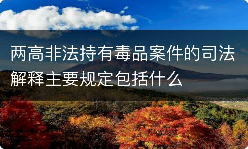 两高非法持有毒品案件的司法解释主要规定包括什么