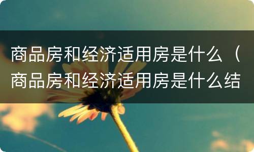 商品房和经济适用房是什么（商品房和经济适用房是什么结构）