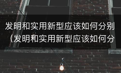 发明和实用新型应该如何分别（发明和实用新型应该如何分别表述）
