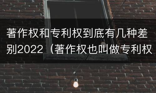 著作权和专利权到底有几种差别2022（著作权也叫做专利权吗）