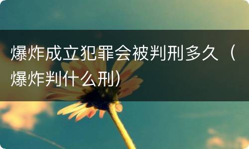 爆炸成立犯罪会被判刑多久（爆炸判什么刑）