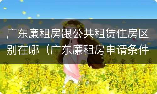 广东廉租房跟公共租赁住房区别在哪（广东廉租房申请条件2020）
