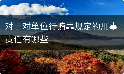 对于对单位行贿罪规定的刑事责任有哪些