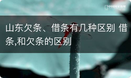 山东欠条、借条有几种区别 借条,和欠条的区别