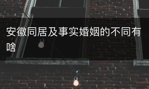 安徽同居及事实婚姻的不同有啥