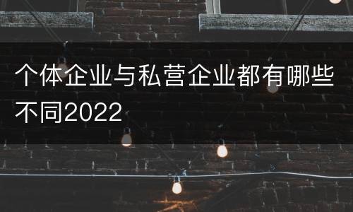 个体企业与私营企业都有哪些不同2022