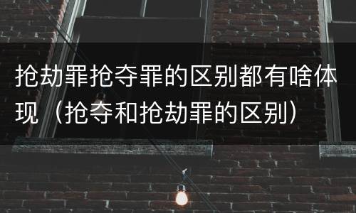 抢劫罪抢夺罪的区别都有啥体现（抢夺和抢劫罪的区别）