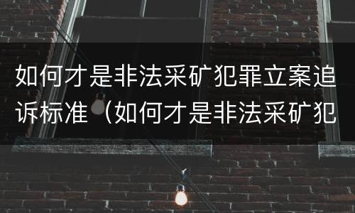 如何才是非法采矿犯罪立案追诉标准（如何才是非法采矿犯罪立案追诉标准呢）