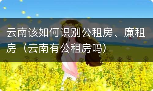 云南该如何识别公租房、廉租房（云南有公租房吗）