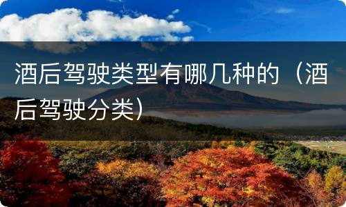 酒后驾驶类型有哪几种的（酒后驾驶分类）