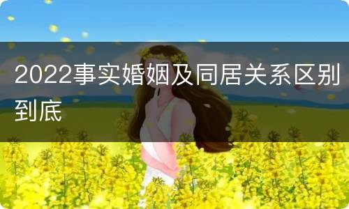 2022事实婚姻及同居关系区别到底