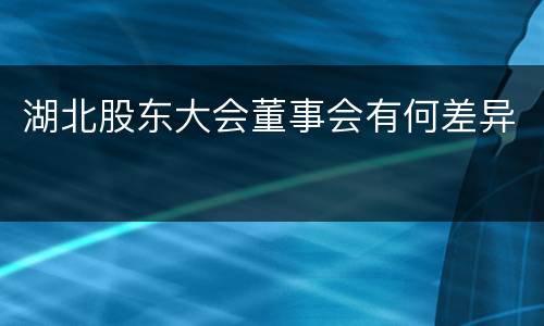 湖北股东大会董事会有何差异