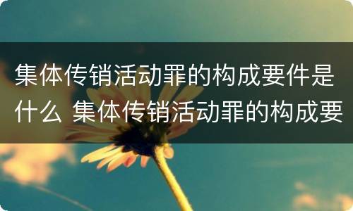 集体传销活动罪的构成要件是什么 集体传销活动罪的构成要件是什么呢