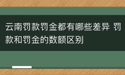 云南罚款罚金都有哪些差异 罚款和罚金的数额区别