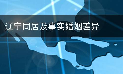 辽宁同居及事实婚姻差异