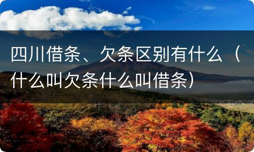 四川借条、欠条区别有什么（什么叫欠条什么叫借条）