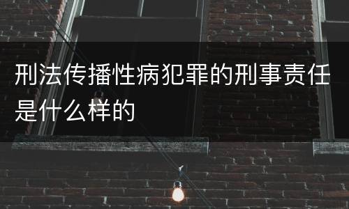 刑法传播性病犯罪的刑事责任是什么样的