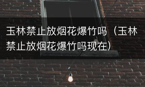 玉林禁止放烟花爆竹吗（玉林禁止放烟花爆竹吗现在）