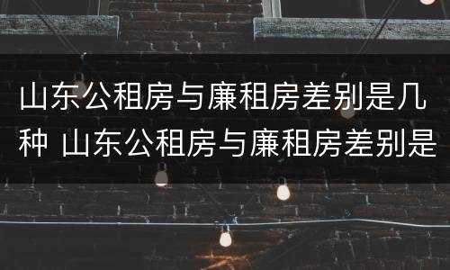 山东公租房与廉租房差别是几种 山东公租房与廉租房差别是几种吗