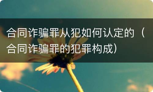 合同诈骗罪从犯如何认定的（合同诈骗罪的犯罪构成）