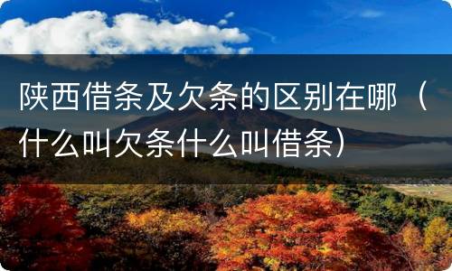 陕西借条及欠条的区别在哪（什么叫欠条什么叫借条）
