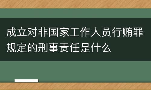 成立对非国家工作人员行贿罪规定的刑事责任是什么