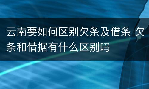 云南要如何区别欠条及借条 欠条和借据有什么区别吗