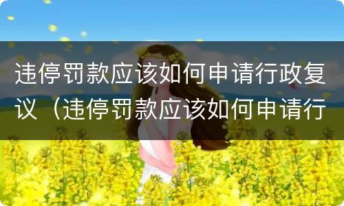违停罚款应该如何申请行政复议（违停罚款应该如何申请行政复议呢）