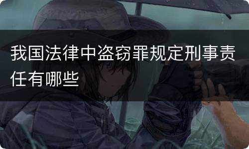 我国法律中盗窃罪规定刑事责任有哪些