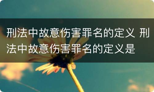 刑法中故意伤害罪名的定义 刑法中故意伤害罪名的定义是